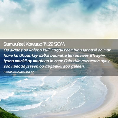 Picture 02 - Samuu'eel Kowaad 14:22 SOM - Oo sidaas oo kalena kulli raggii reer binu - Bible Verse Picture
