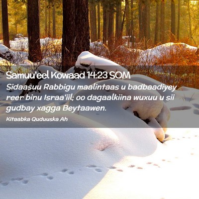 Picture 02 - Samuu'eel Kowaad 14:23 SOM - Sidaasuu Rabbigu maalintaas u badbaadiyey reer - Bible Verse Picture