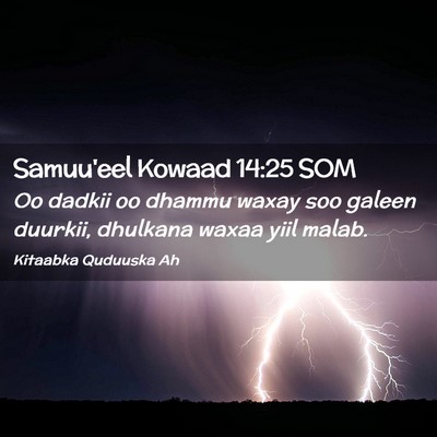 Picture 02 - Samuu'eel Kowaad 14:25 SOM - Oo dadkii oo dhammu waxay soo galeen duurkii, - Bible Verse Picture