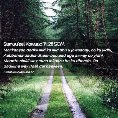 Picture 02 - Samuu'eel Kowaad 14:28 SOM - Markaasaa dadkii mid ka mid ahu u jawaabay, oo ku - Bible Verse Picture