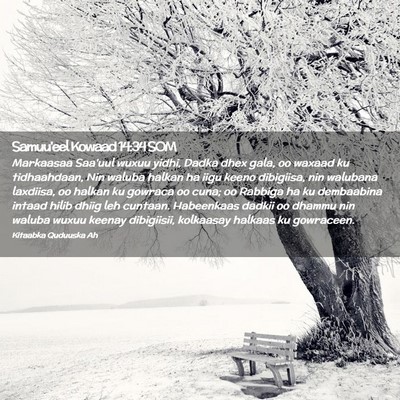 Picture 02 - Samuu'eel Kowaad 14:34 SOM - Markaasaa Saa'uul wuxuu yidhi, Dadka dhex gala, - Bible Verse Picture
