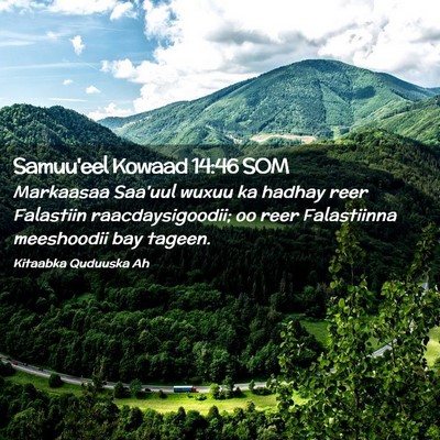 Picture 02 - Samuu'eel Kowaad 14:46 SOM - Markaasaa Saa'uul wuxuu ka hadhay reer Falastiin - Bible Verse Picture