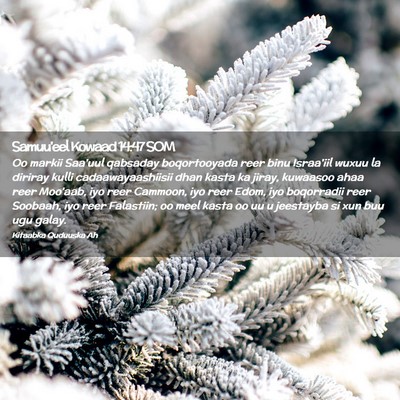 Picture 02 - Samuu'eel Kowaad 14:47 SOM - Oo markii Saa'uul qabsaday boqortooyada reer binu - Bible Verse Picture