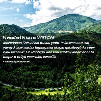 Picture 02 - Samuu'eel Kowaad 15:17 SOM - Markaasaa Samuu'eel wuxuu yidhi, In kastoo aad - Bible Verse Picture