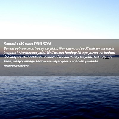Picture 02 - Samuu'eel Kowaad 16:11 SOM - Samuu'eelna wuxuu Yesay ku yidhi, War - Bible Verse Picture
