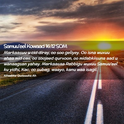 Picture 02 - Samuu'eel Kowaad 16:12 SOM - Markaasuu u cid diray, oo soo geliyey. Oo isna - Bible Verse Picture