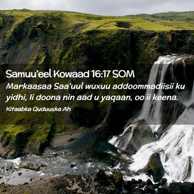 Picture 02 - Samuu'eel Kowaad 16:17 SOM - Markaasaa Saa'uul wuxuu addoommadiisii ku yidhi, - Bible Verse Picture