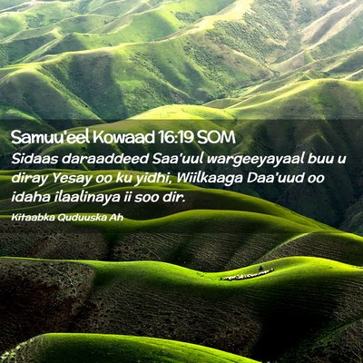 Picture 02 - Samuu'eel Kowaad 16:19 SOM - Sidaas daraaddeed Saa'uul wargeeyayaal buu u - Bible Verse Picture