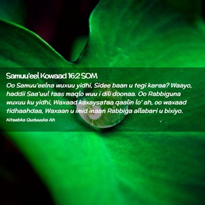 Picture 02 - Samuu'eel Kowaad 16:2 SOM - Oo Samuu'eelna wuxuu yidhi, Sidee baan u tegi - Bible Verse Picture