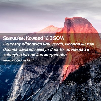 Picture 02 - Samuu'eel Kowaad 16:3 SOM - Oo Yesay allabariga ugu yeedh, waanan ku tusi - Bible Verse Picture