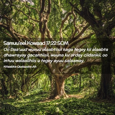 Picture 02 - Samuu'eel Kowaad 17:22 SOM - Oo Daa'uud wuxuu alaabtiisii kaga tegey kii - Bible Verse Picture