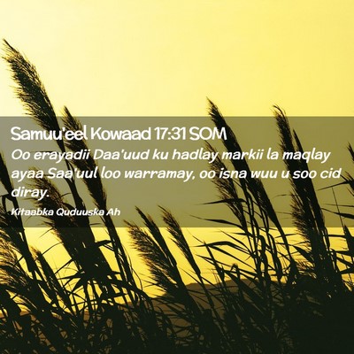 Picture 02 - Samuu'eel Kowaad 17:31 SOM - Oo erayadii Daa'uud ku hadlay markii la maqlay - Bible Verse Picture
