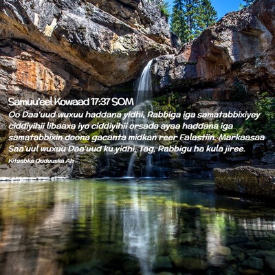 Picture 02 - Samuu'eel Kowaad 17:37 SOM - Oo Daa'uud wuxuu haddana yidhi, Rabbiga iga - Bible Verse Picture