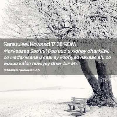 Picture 02 - Samuu'eel Kowaad 17:38 SOM - Markaasaa Saa'uul Daa'uud u xidhay dharkiisii, oo - Bible Verse Picture