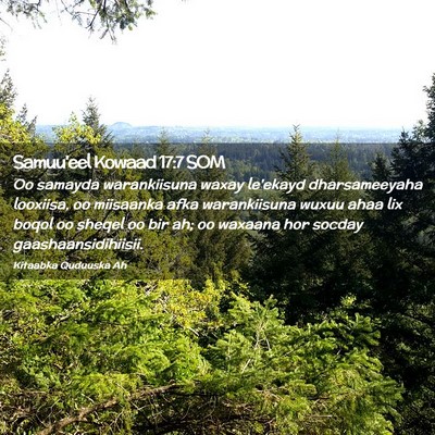 Picture 02 - Samuu'eel Kowaad 17:7 SOM - Oo samayda warankiisuna waxay le'ekayd - Bible Verse Picture