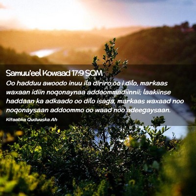 Picture 02 - Samuu'eel Kowaad 17:9 SOM - Oo hadduu awoodo inuu ila diriro oo i dilo, - Bible Verse Picture