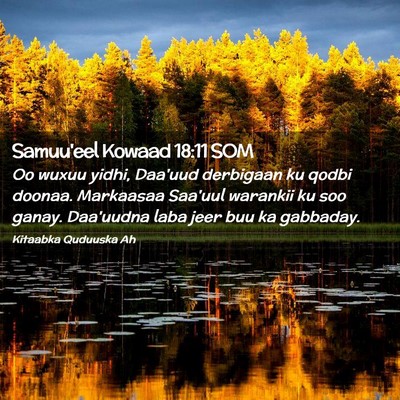 Picture 02 - Samuu'eel Kowaad 18:11 SOM - Oo wuxuu yidhi, Daa'uud derbigaan ku qodbi - Bible Verse Picture
