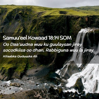 Picture 02 - Samuu'eel Kowaad 18:14 SOM - Oo Daa'uudna wuu ku guulaysan jiray socodkiisa oo - Bible Verse Picture