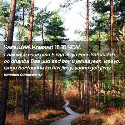 Picture 02 - Samuu'eel Kowaad 18:16 SOM - Laakiinse reer binu Israa'iil iyo reer Yahuudah - Bible Verse Picture