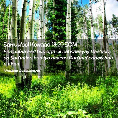 Picture 02 - Samuu'eel Kowaad 18:29 SOM - Saa'uulna aad buu uga sii cabsanayay Daa'uud; oo - Bible Verse Picture