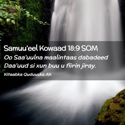 Picture 02 - Samuu'eel Kowaad 18:9 SOM - Oo Saa'uulna maalintaas dabadeed Daa'uud si xun - Bible Verse Picture