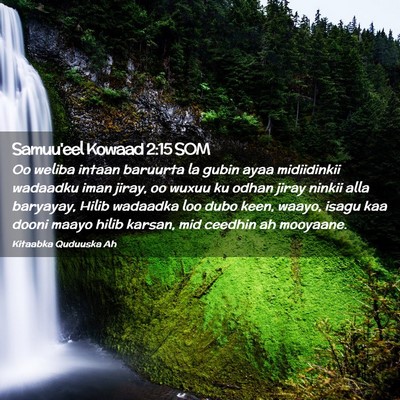 Picture 02 - Samuu'eel Kowaad 2:15 SOM - Oo weliba intaan baruurta la gubin ayaa - Bible Verse Picture