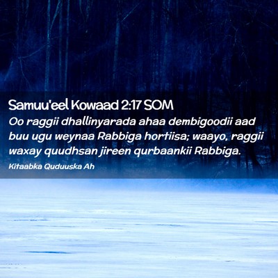 Picture 02 - Samuu'eel Kowaad 2:17 SOM - Oo raggii dhallinyarada ahaa dembigoodii aad buu - Bible Verse Picture