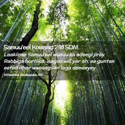 Picture 02 - Samuu'eel Kowaad 2:18 SOM - Laakiinse Samuu'eel wuxuu ka adeegi jiray Rabbiga - Bible Verse Picture