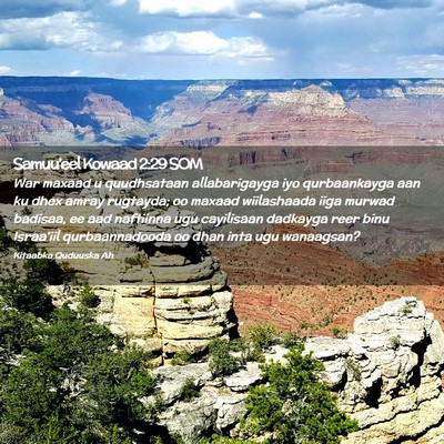 Picture 02 - Samuu'eel Kowaad 2:29 SOM - War maxaad u quudhsataan allabarigayga iyo - Bible Verse Picture