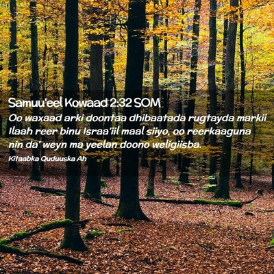 Picture 02 - Samuu'eel Kowaad 2:32 SOM - Oo waxaad arki doontaa dhibaatada rugtayda markii - Bible Verse Picture