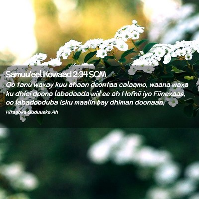 Picture 02 - Samuu'eel Kowaad 2:34 SOM - Oo tanu waxay kuu ahaan doontaa calaamo, waana - Bible Verse Picture