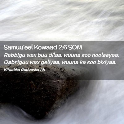 Picture 02 - Samuu'eel Kowaad 2:6 SOM - Rabbigu wax buu dilaa, wuuna soo nooleeyaa; - Bible Verse Picture
