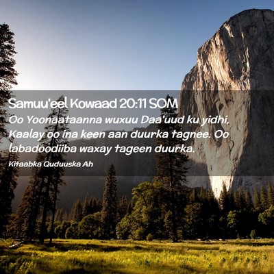 Picture 02 - Samuu'eel Kowaad 20:11 SOM - Oo Yoonaataanna wuxuu Daa'uud ku yidhi, Kaalay oo - Bible Verse Picture