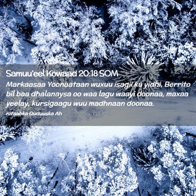 Picture 02 - Samuu'eel Kowaad 20:18 SOM - Markaasaa Yoonaataan wuxuu isagii ku yidhi, - Bible Verse Picture