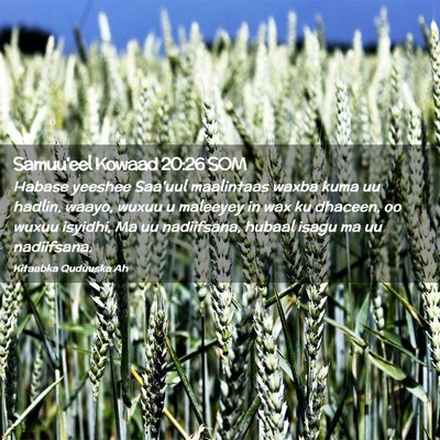 Picture 02 - Samuu'eel Kowaad 20:26 SOM - Habase yeeshee Saa'uul maalintaas waxba kuma uu - Bible Verse Picture