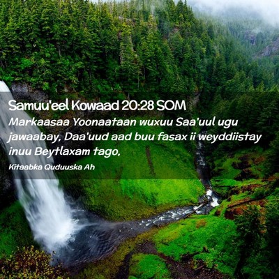 Picture 02 - Samuu'eel Kowaad 20:28 SOM - Markaasaa Yoonaataan wuxuu Saa'uul ugu jawaabay, - Bible Verse Picture