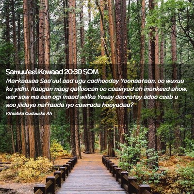Picture 02 - Samuu'eel Kowaad 20:30 SOM - Markaasaa Saa'uul aad ugu cadhooday Yoonaataan, - Bible Verse Picture