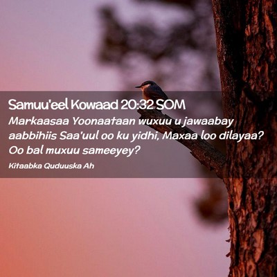 Picture 02 - Samuu'eel Kowaad 20:32 SOM - Markaasaa Yoonaataan wuxuu u jawaabay aabbihiis - Bible Verse Picture