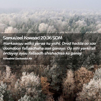 Picture 02 - Samuu'eel Kowaad 20:36 SOM - Markaasuu wiilkii yaraa ku yidhi, Orod hadda oo - Bible Verse Picture