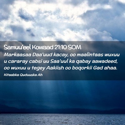 Picture 02 - Samuu'eel Kowaad 21:10 SOM - Markaasaa Daa'uud kacay, oo maalintaas wuxuu u - Bible Verse Picture