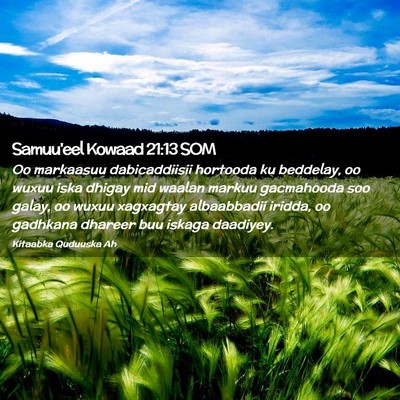 Picture 02 - Samuu'eel Kowaad 21:13 SOM - Oo markaasuu dabicaddiisii hortooda ku beddelay, - Bible Verse Picture