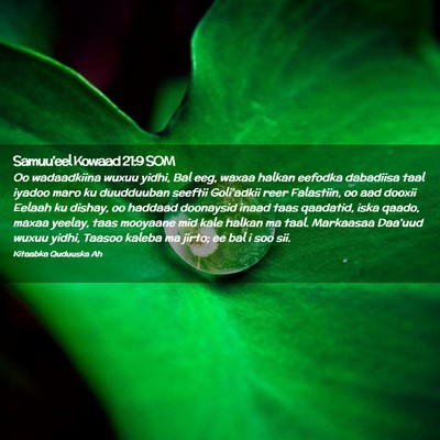 Picture 02 - Samuu'eel Kowaad 21:9 SOM - Oo wadaadkiina wuxuu yidhi, Bal eeg, waxaa halkan - Bible Verse Picture