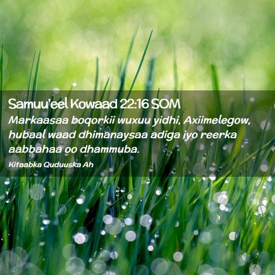 Picture 02 - Samuu'eel Kowaad 22:16 SOM - Markaasaa boqorkii wuxuu yidhi, Axiimelegow, - Bible Verse Picture