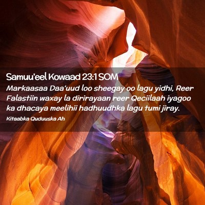 Picture 02 - Samuu'eel Kowaad 23:1 SOM - Markaasaa Daa'uud loo sheegay oo lagu yidhi, Reer - Bible Verse Picture
