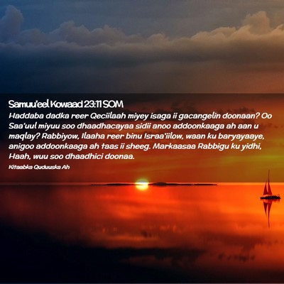 Picture 02 - Samuu'eel Kowaad 23:11 SOM - Haddaba dadka reer Qeciilaah miyey isaga ii - Bible Verse Picture