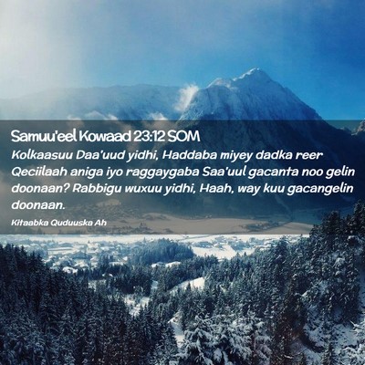 Picture 02 - Samuu'eel Kowaad 23:12 SOM - Kolkaasuu Daa'uud yidhi, Haddaba miyey dadka reer - Bible Verse Picture