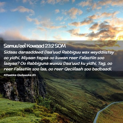 Picture 02 - Samuu'eel Kowaad 23:2 SOM - Sidaas daraaddeed Daa'uud Rabbiguu wax - Bible Verse Picture