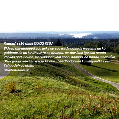 Picture 02 - Samuu'eel Kowaad 23:23 SOM - Sidaas daraaddeed soo arka oo soo wada ogaada - Bible Verse Picture