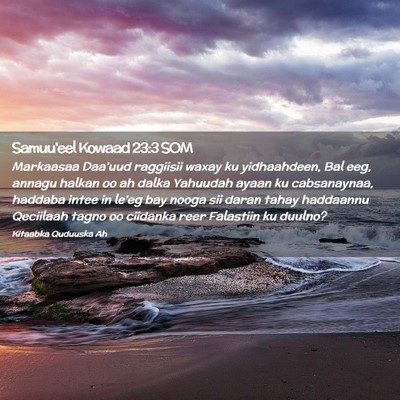 Picture 02 - Samuu'eel Kowaad 23:3 SOM - Markaasaa Daa'uud raggiisii waxay ku yidhaahdeen, - Bible Verse Picture