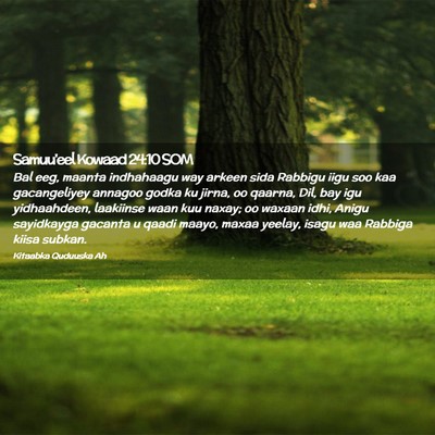Picture 02 - Samuu'eel Kowaad 24:10 SOM - Bal eeg, maanta indhahaagu way arkeen sida - Bible Verse Picture